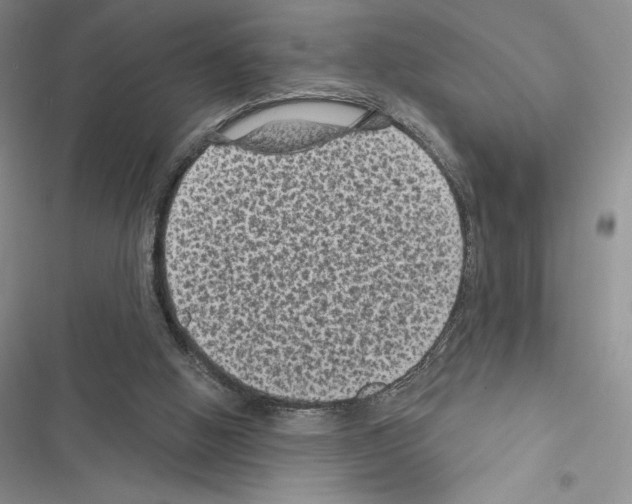 X0000116610058201001221327