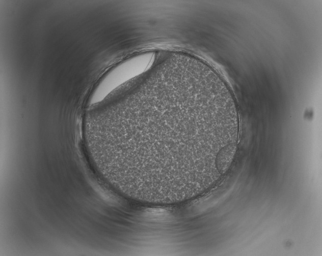 X0000116610061201001221327