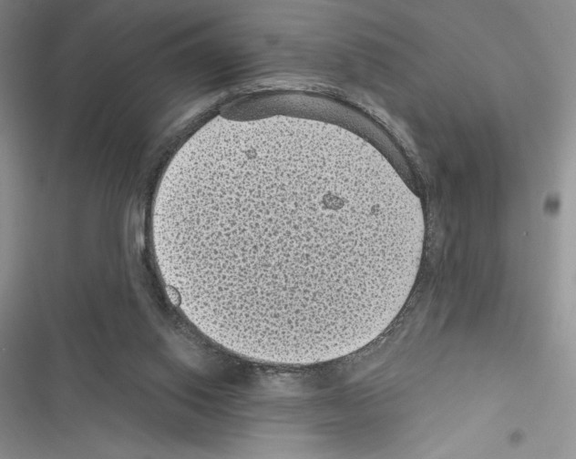 X0000116610062201001221327