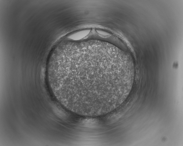 X0000116610063201001221327