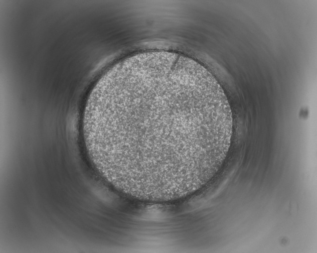 X0000116610064201001221327