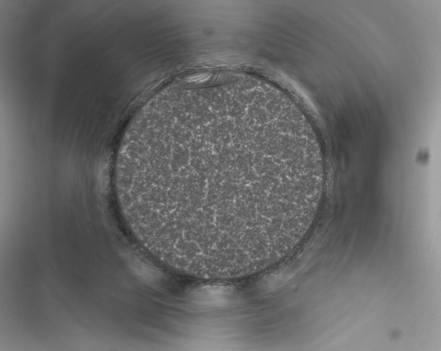 X0000116610065201001221327