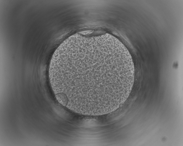 X0000116610066201001221327