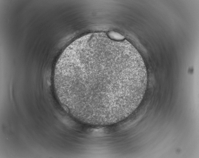 X0000116610068201001221327