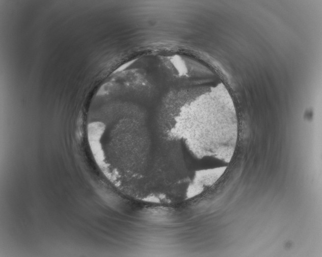 X0000116610069201001221327