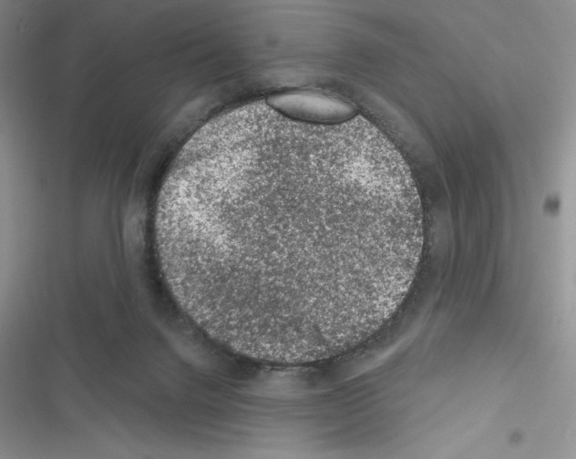 X0000116610072201001221327