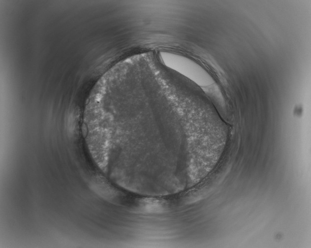 X0000116610073201001221327