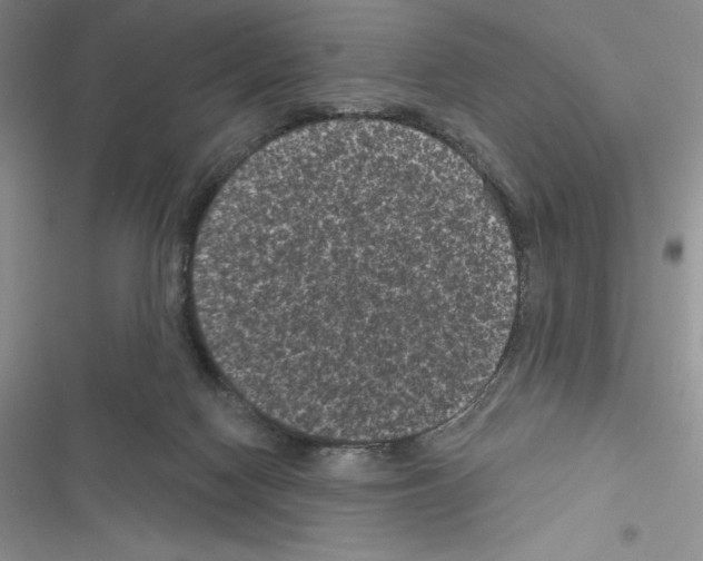 X0000116610074201001221327