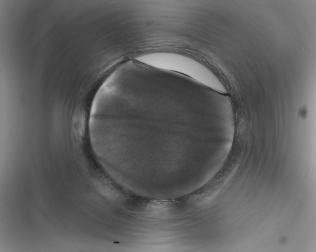 X0000116610076201001221328