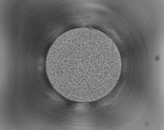 X0000116610077201001221328