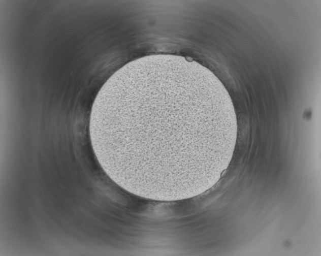 X0000116610078201001221328