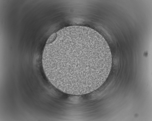 X0000116610079201001221328