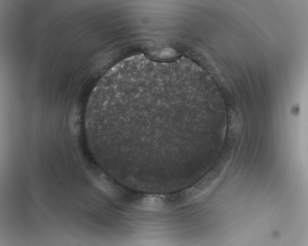 X0000116610080201001221328