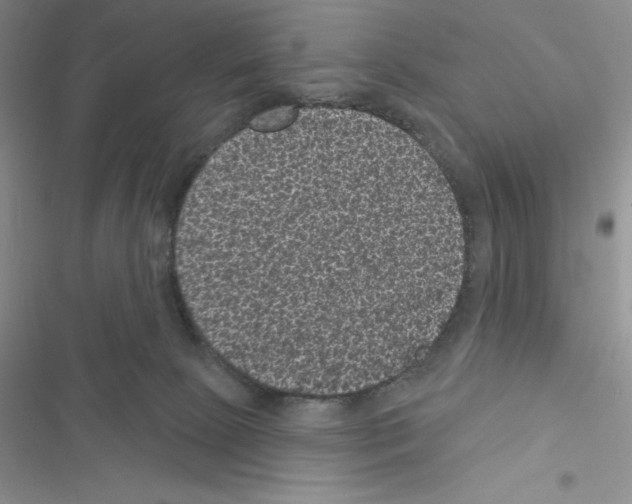 X0000116610081201001221328