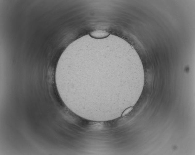 X0000116610083201001221328