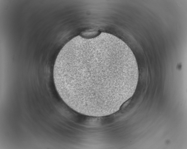 X0000116610084201001221328