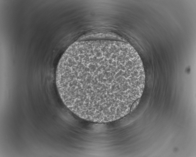 X0000116610085201001221328