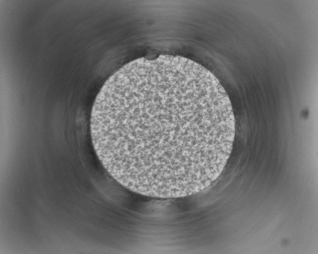 X0000116610086201001221328