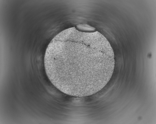 X0000116610088201001221328