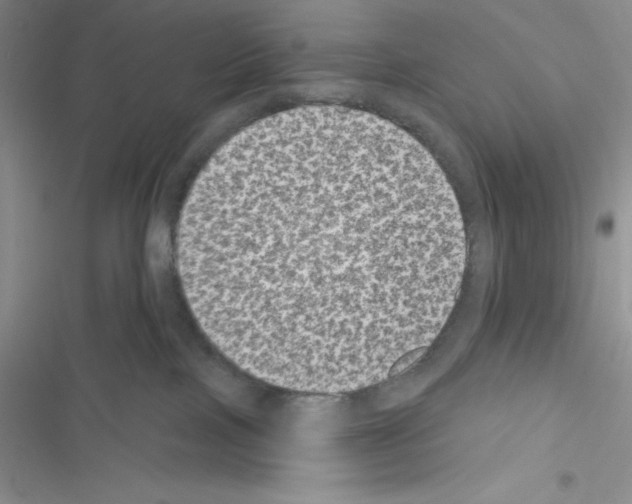 X0000116610089201001221328