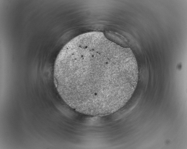 X0000116610092201001221328