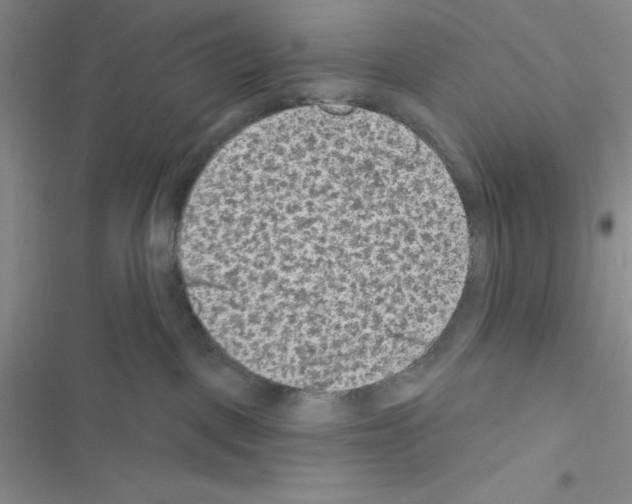 X0000116610093201001221328