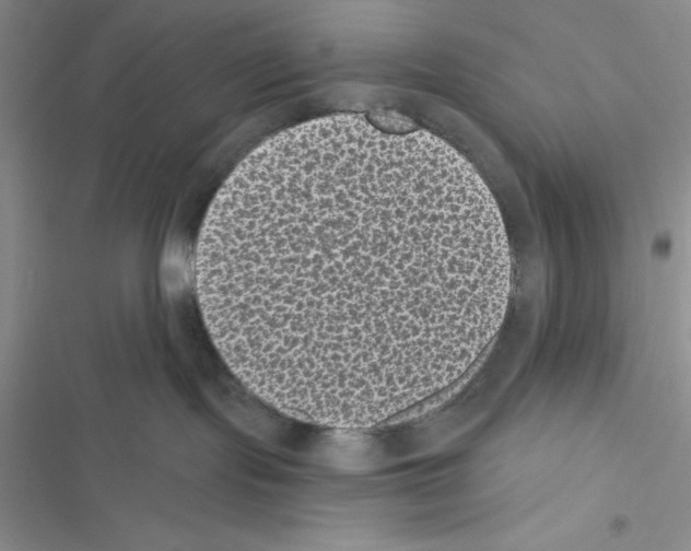 X0000116610095201001221328