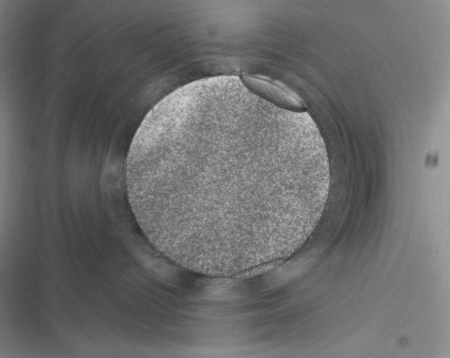 X0000116610096201001221328