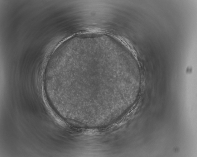 X0000116610097201001221327