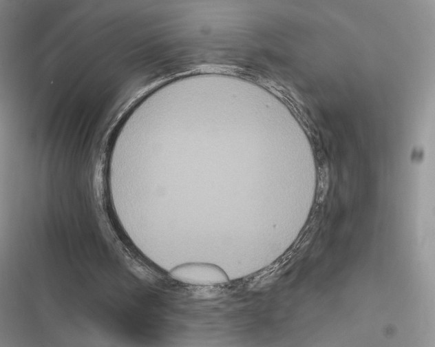 X0000116610098201001221327