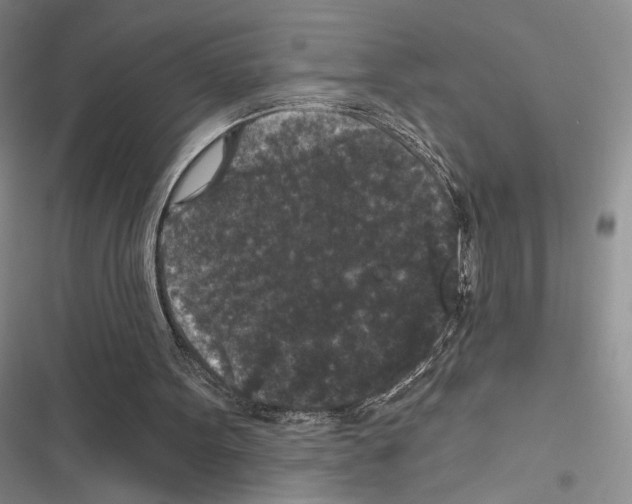 X0000116610099201001221327