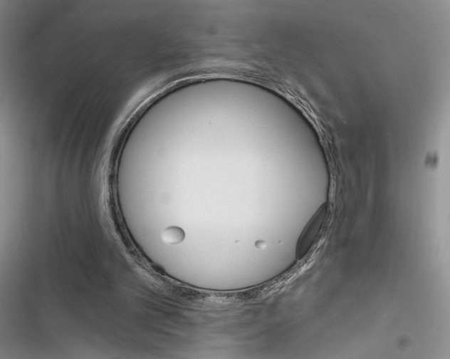 X0000116610101201001221327