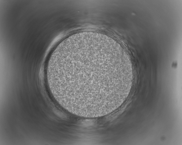 X0000116610102201001221327