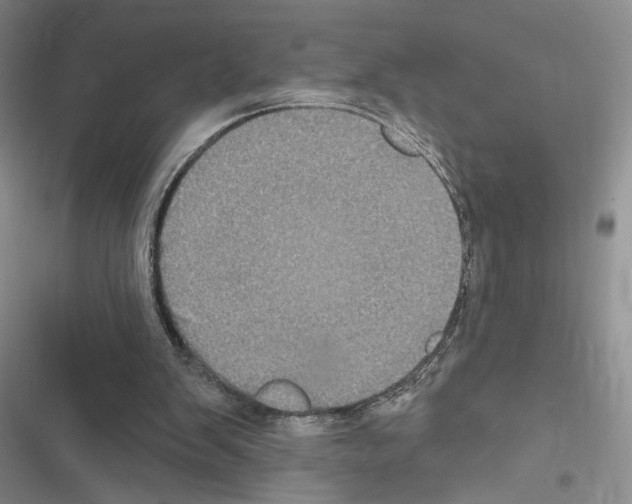 X0000116610103201001221327