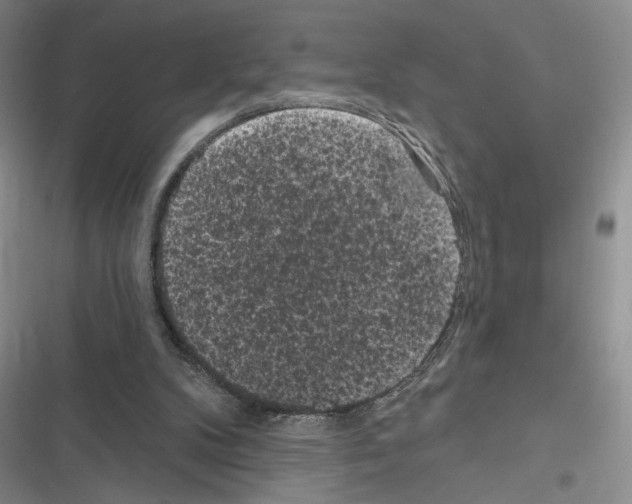 X0000116610104201001221327