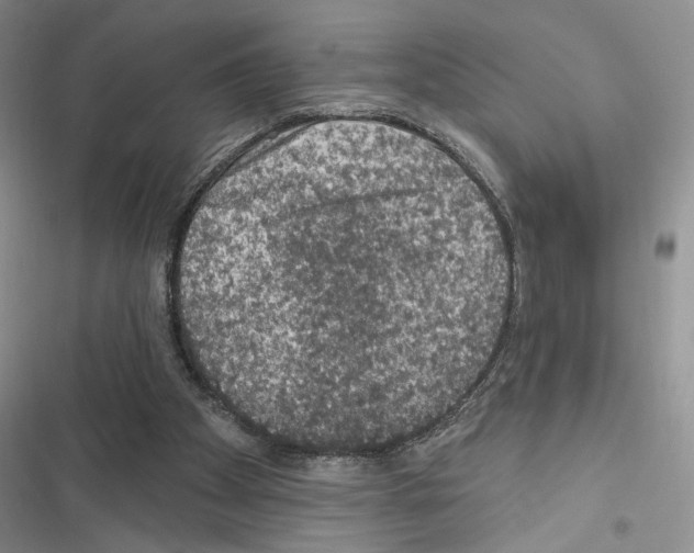 X0000116610105201001221327