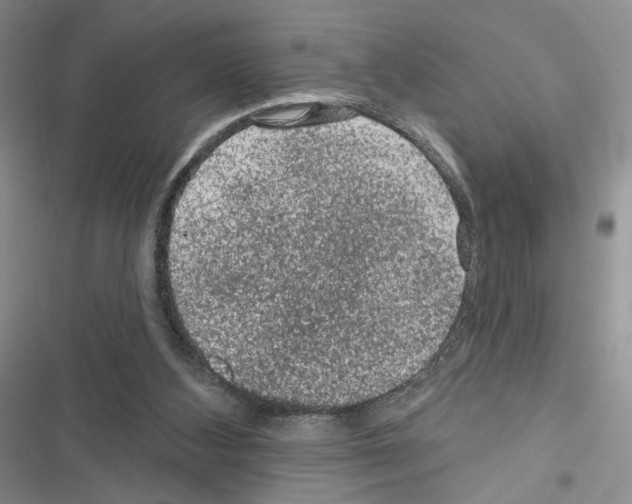 X0000116610108201001221327