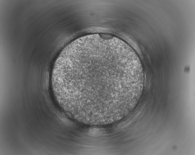 X0000116610109201001221327