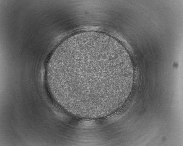 X0000116610110201001221327