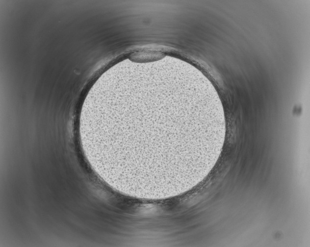 X0000116610111201001221327