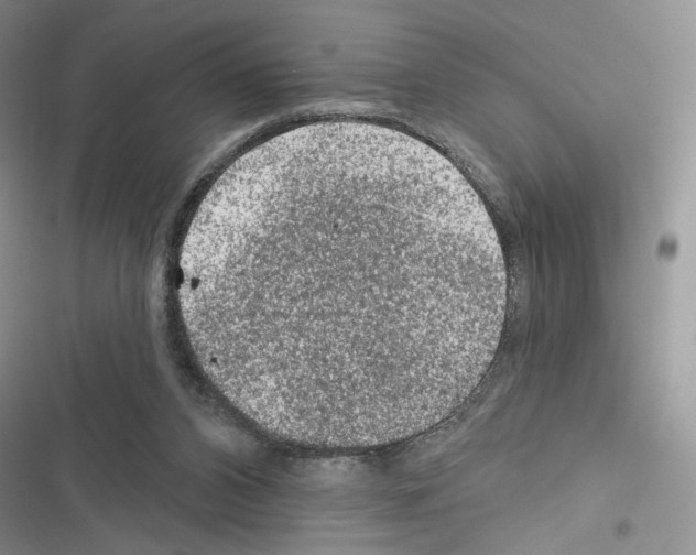 X0000116610112201001221327