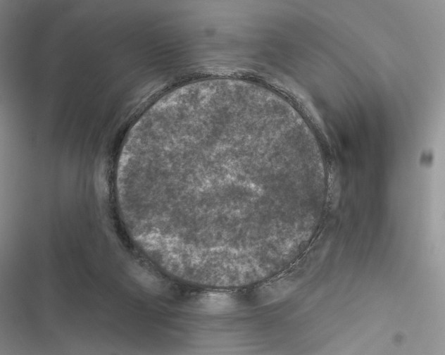 X0000116610114201001221327