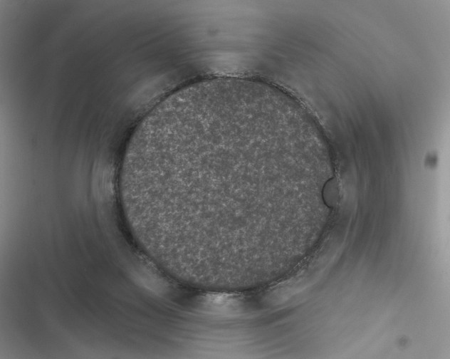 X0000116610117201001221327