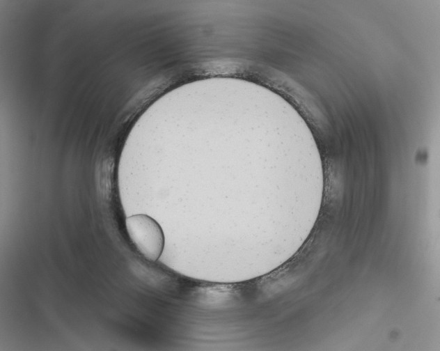 X0000116610118201001221327