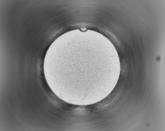 X0000116610119201001221327