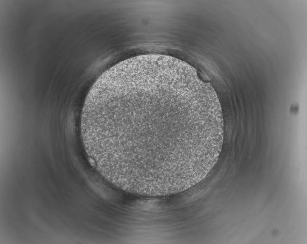 X0000116610120201001221327