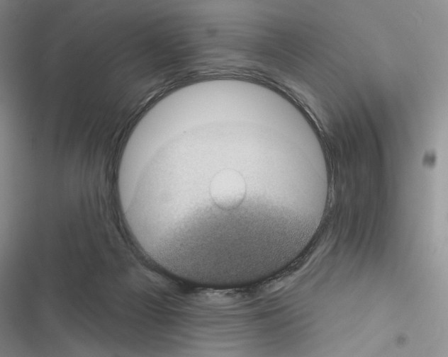 X0000116610121201001221327