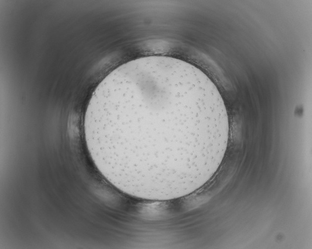 X0000116610122201001221327