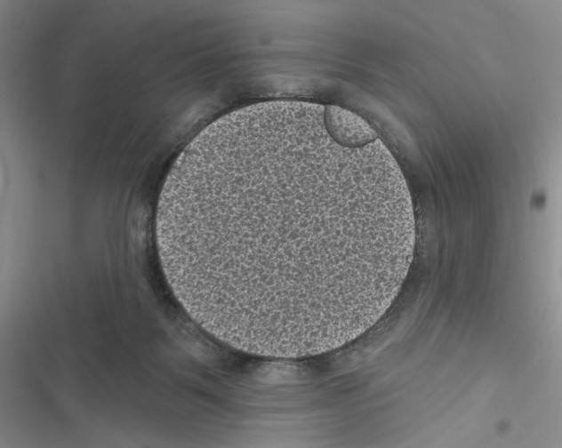 X0000116610123201001221327