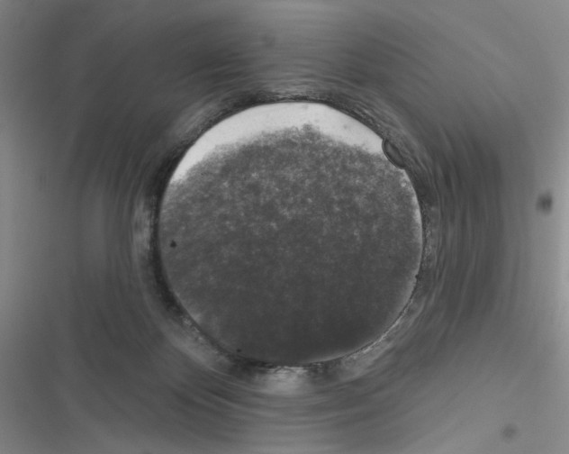 X0000116610124201001221327